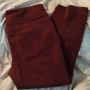 NWOT 16W Ruby Rd. Stretch wide band wine Jeans